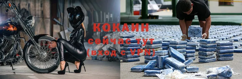 Cocaine Боливия  Кировск 